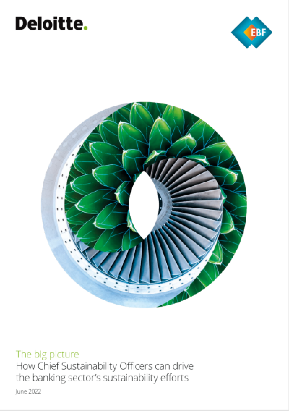 CSO REPORT The Big Picture: How the CSO can drive the banking sectors’ sustainability efforts