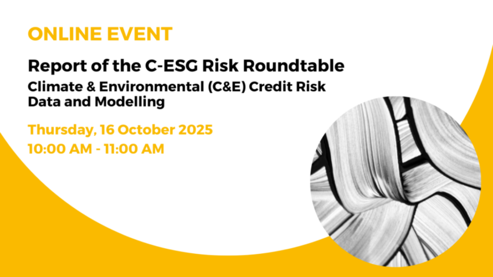 Report of the C-ESG Risk Roundtable Climate & Environmental Credit Risk Data and Modelling Online