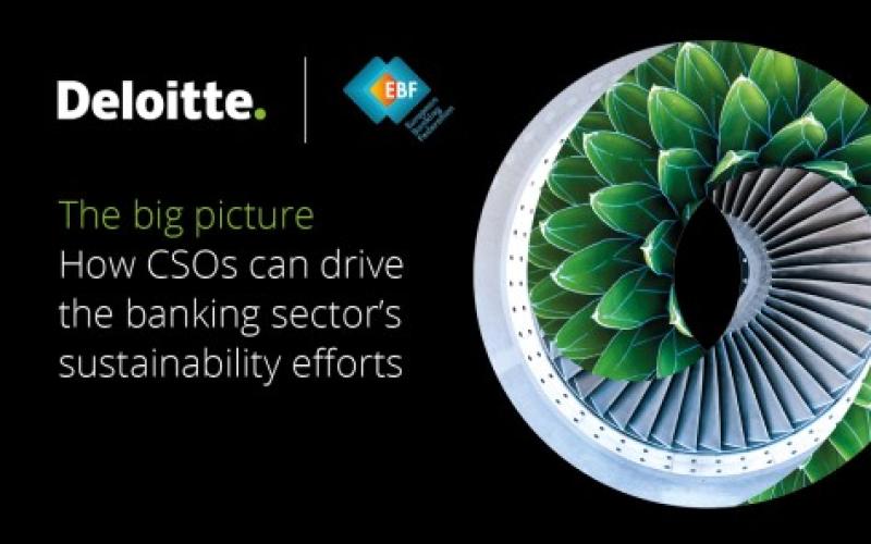 The big picture How CSOs can drive the banking sector’s sustainability efforts