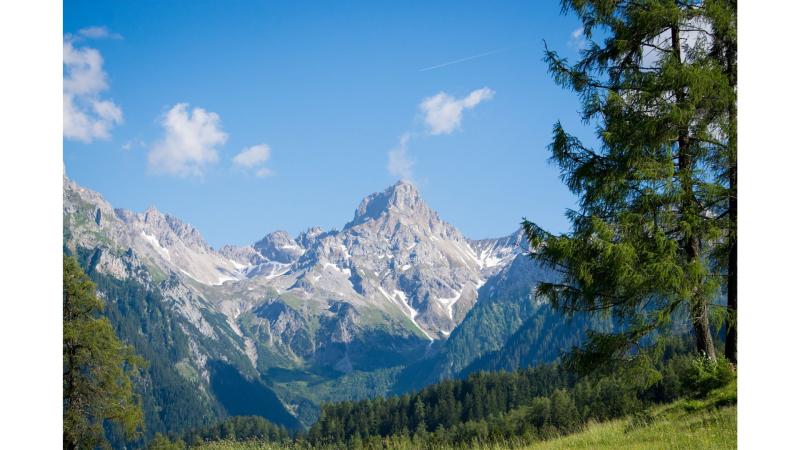 green landscape