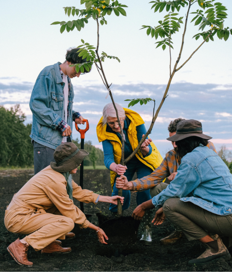 people planting plant